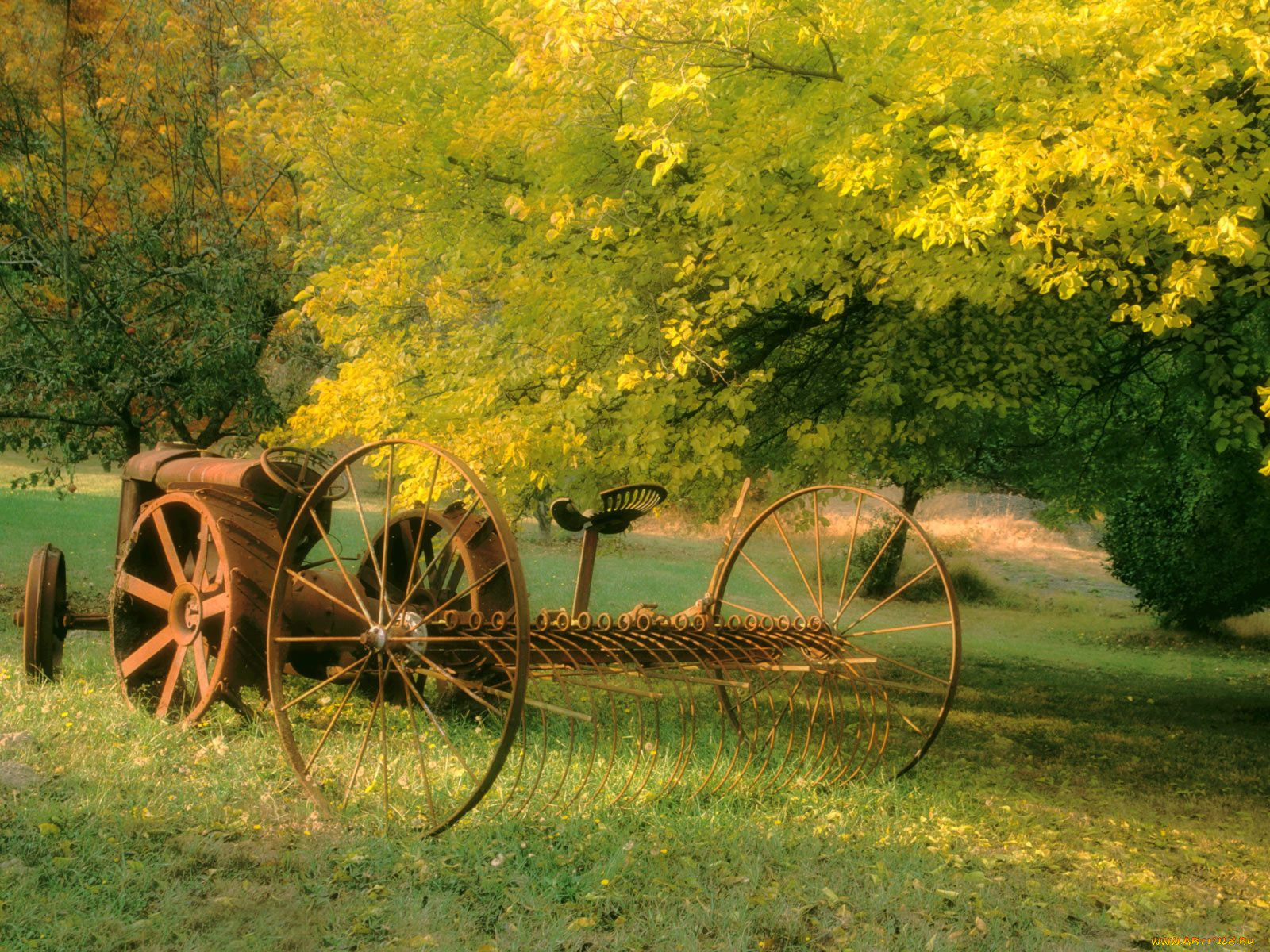 harvesting, yesterdays, seabeck, washington, , 